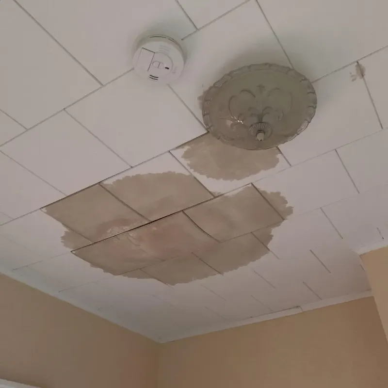 Ceiling Water Damage Repair in Gilberts, IL