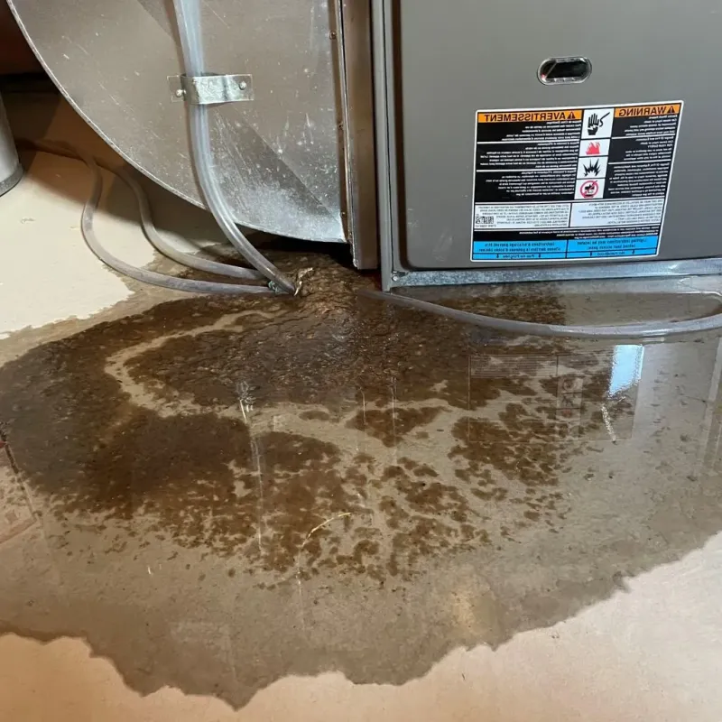 Pipe Burst and Leak Restoration in Gilberts, IL
